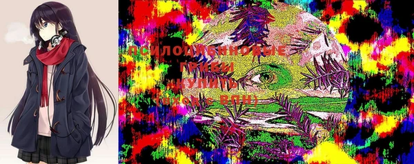 крисы Балахна